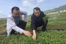街舞艺术因创新更美好必一体育官网